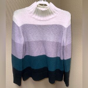 Ann Taylor Knit Tunic Sweater